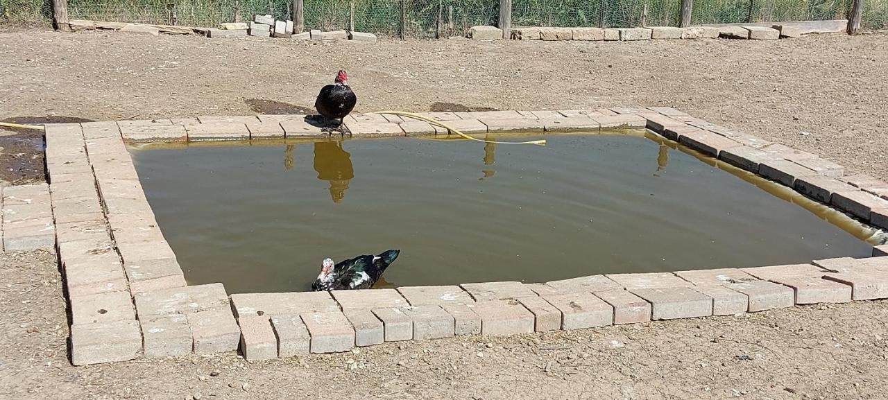 Villa Klinai Cerveteri Bagian luar foto
