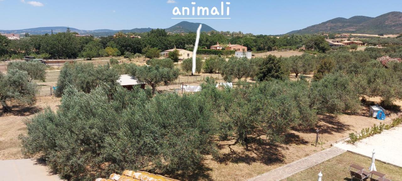 Villa Klinai Cerveteri Bagian luar foto