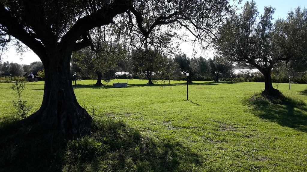 Villa Klinai Cerveteri Bagian luar foto